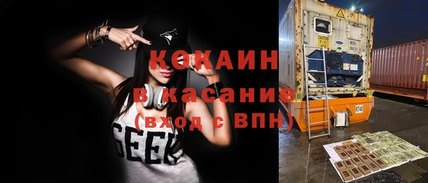 мяу мяу мука Арсеньев
